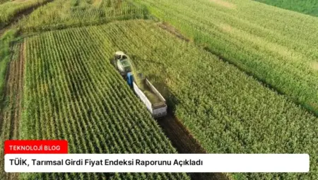 TÜİK, Tarımsal Girdi Fiyat Endeksi Raporunu Açıkladı