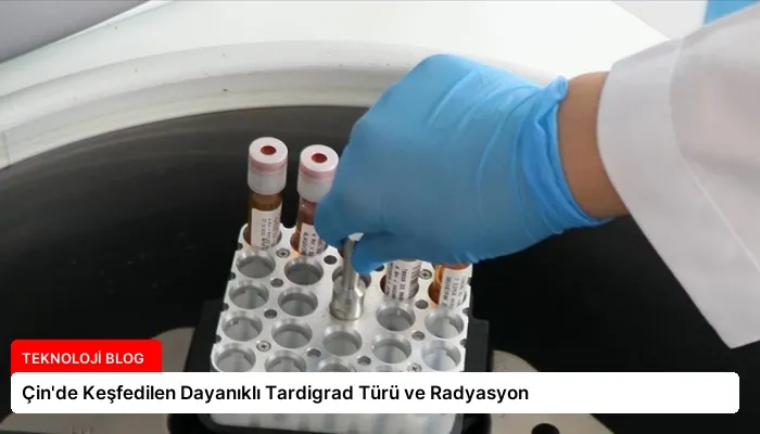Çin’de Keşfedilen Dayanıklı Tardigrad Türü ve Radyasyon