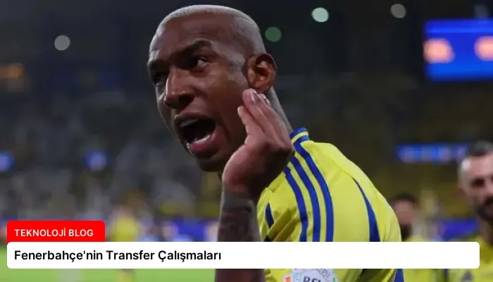 Fenerbahçe’nin Transfer Çalışmaları