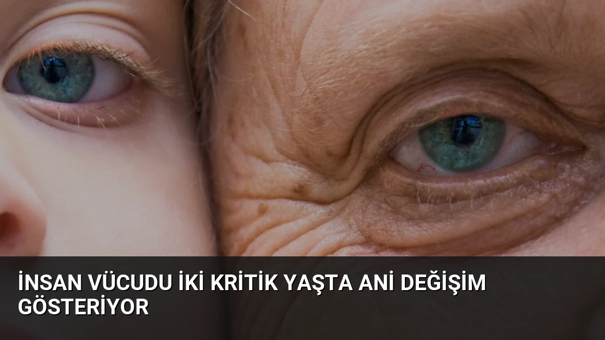 İnsan Vücudu İki Kritik Yaşta Ani Değişim Gösteriyor