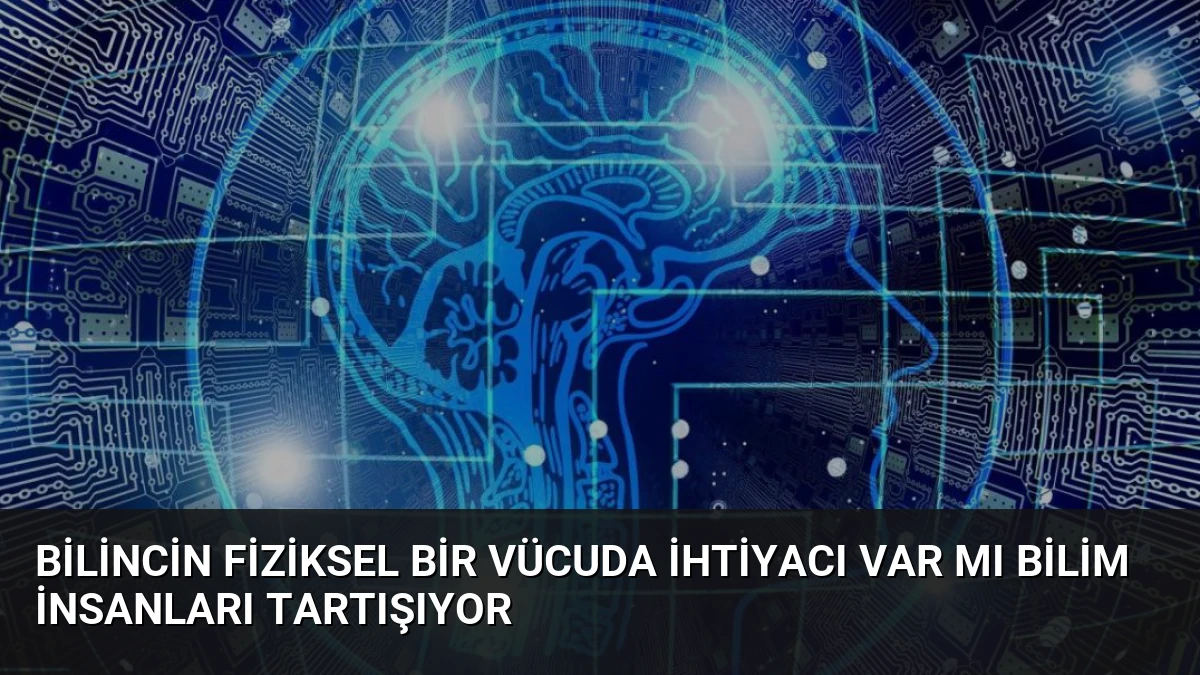 Bilincin Fiziksel Bir Vücuda İhtiyacı Var mı Bilim İnsanları Tartışıyor