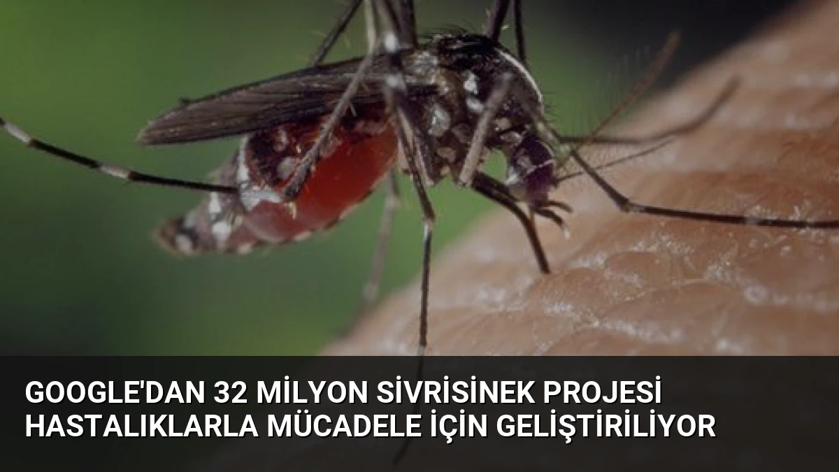 Google’dan 32 Milyon Sivrisinek Projesi Hastalıklarla Mücadele İçin Geliştiriliyor