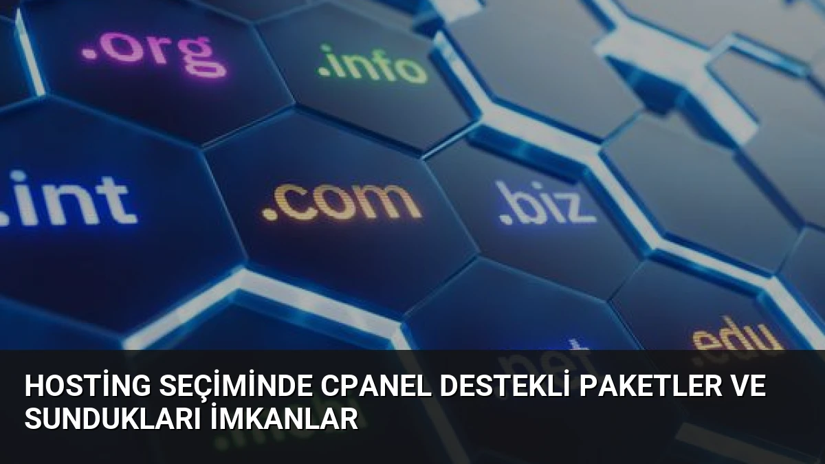 Hosting Seçiminde cPanel Destekli Paketler ve Sundukları İmkanlar