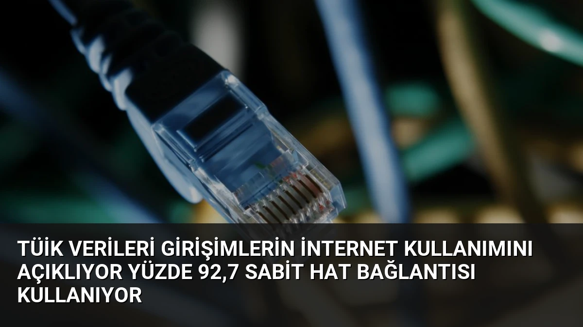 TÜİK Verileri Girişimlerin İnternet Kullanımını Açıklıyor Yüzde 92,7 Sabit Hat Bağlantısı Kullanıyor